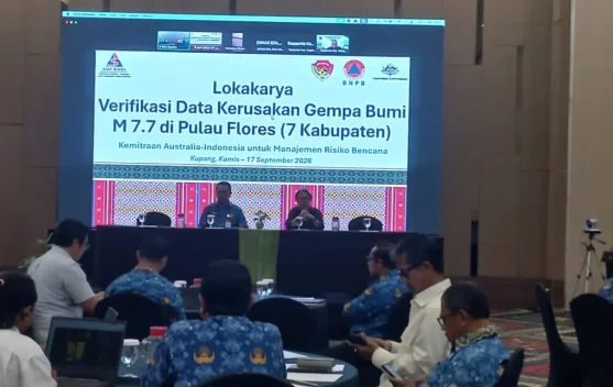 Pemprov NTT Verifikasi Data Kerusakan Gempa Flores dari 7 Kabupaten, Jadi Fondasi Pemulihan Tiga Tahun