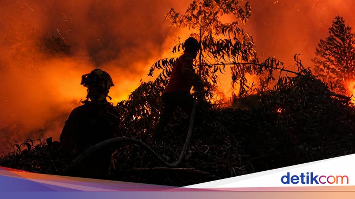 Karhutla Jambi Capai 20,8 Ribu Hektare di 9 Kabupaten, KKI Warsi Soroti Dampak ke Warga