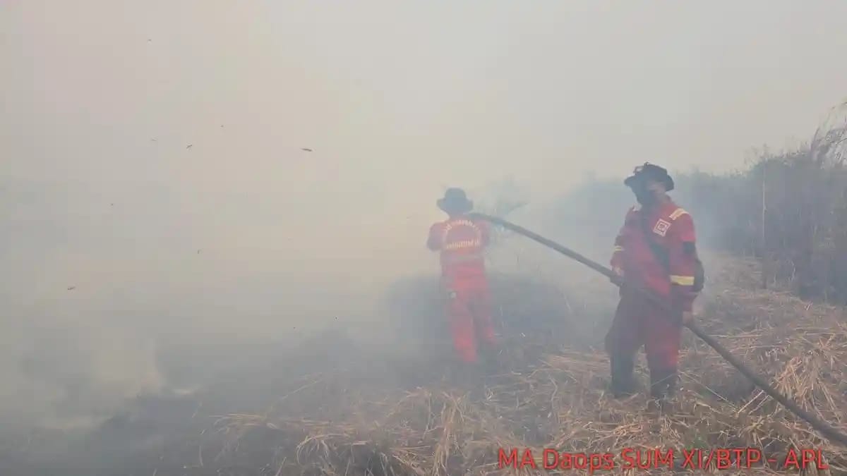 Kualitas Udara Kalsel Tembus ISPU 411, Terburuk Ketiga di Indonesia Malam Ini