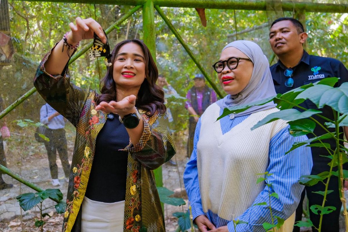 TN Bantimurung-Bulusaraung Maros Tawarkan Wisata Alam dan Konservasi