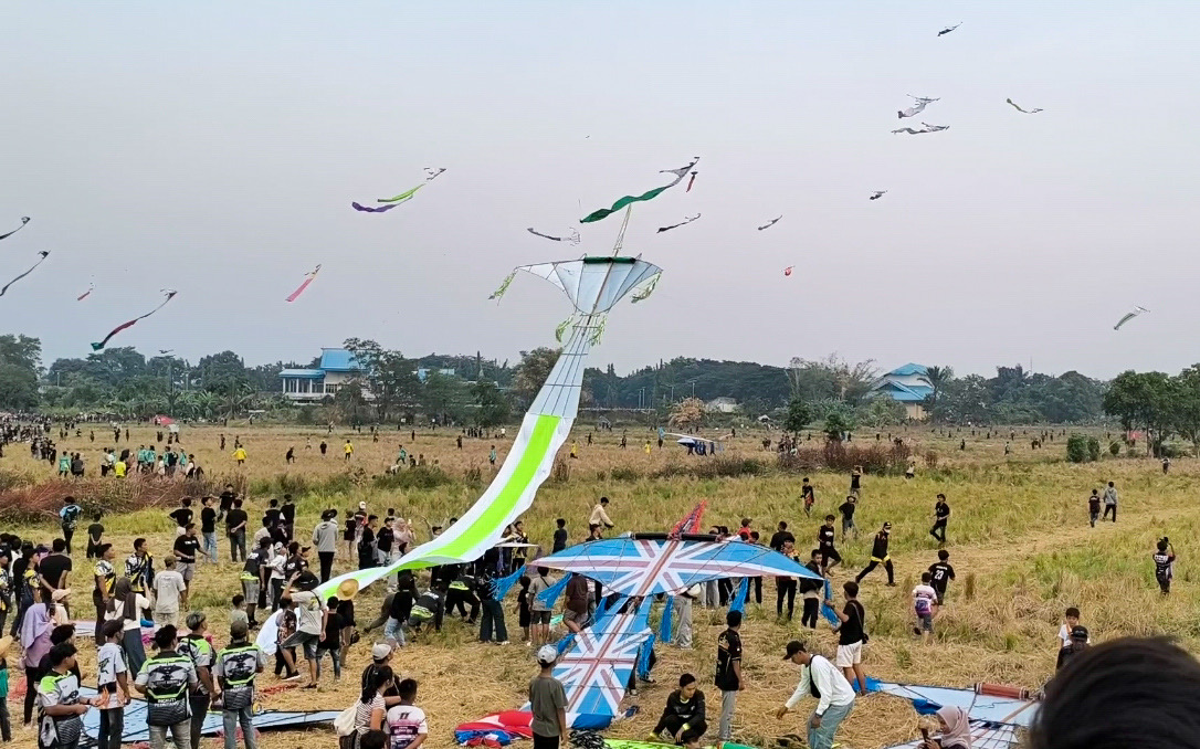 1.500 Peserta dan 10 Ribu Pengunjung Padati Dandang Kite Festival di Rantau Baru Tapin