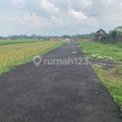 Dijual Tanah Kavling 1 Are di Nyitdah Tabanan, View Sawah Dekat Pantai Kedungu Harga Rp 425 Juta
