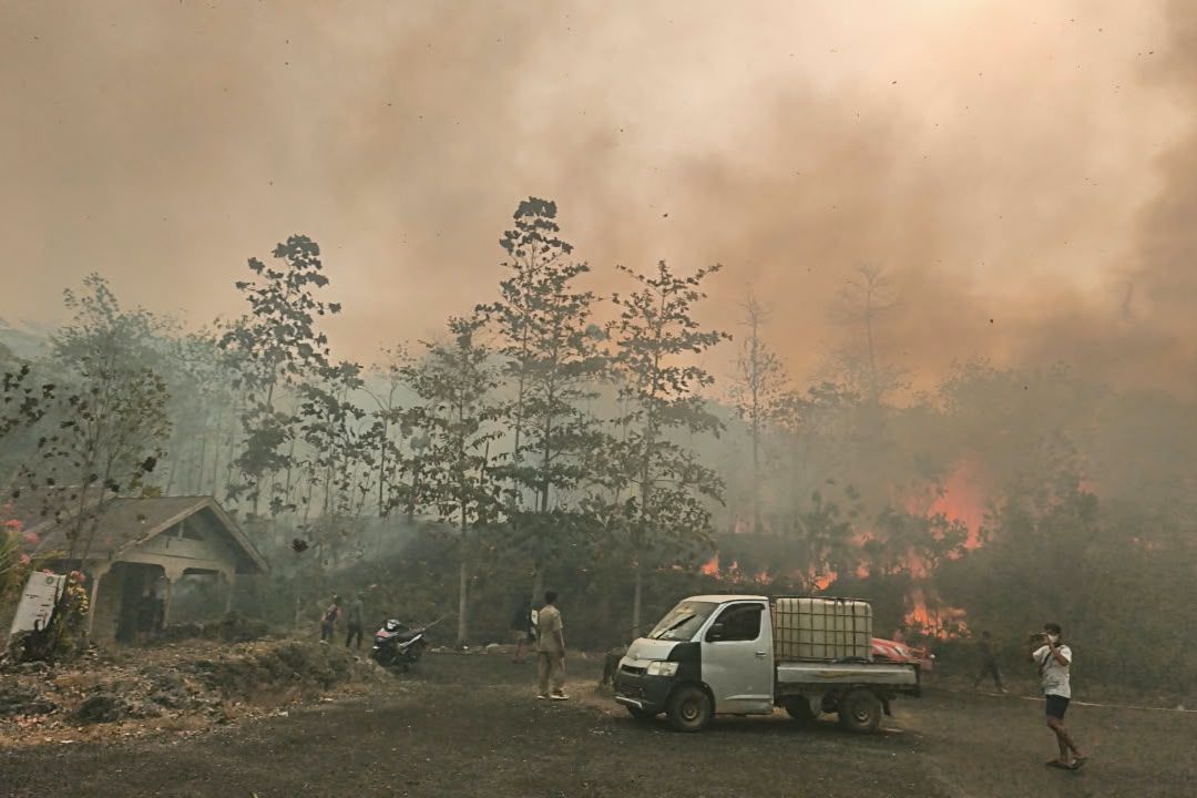 3 Perusahaan di Kaltim Dijatuhi Sanksi Karhutla, Izin Dibekukan dan Wajib Pulihkan 661 Hektare Lahan