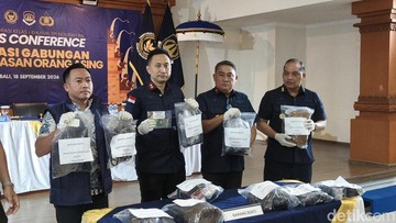 13 WNA Terlibat Prostitusi Online di Bali, Tarif Capai Rp 13,9 Juta per Jam