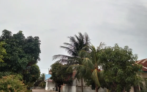 BMKG Malikussaleh Peringatkan Hujan Disertai Petir dan Angin Kencang di Aceh Timur dan Langsa