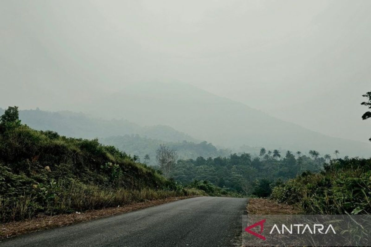 BMKG Batam Peringatkan Kabut Asap Karhutla di 5 Kabupaten/Kota Kepri, Waspadai Jarak Pandang