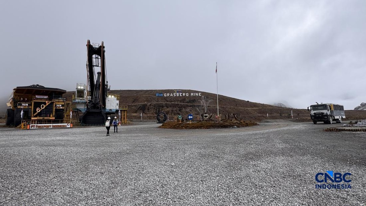 Freeport Kucurkan Rp 25 Triliun Bangun Tambang Kucing Liar, Produksi 2029