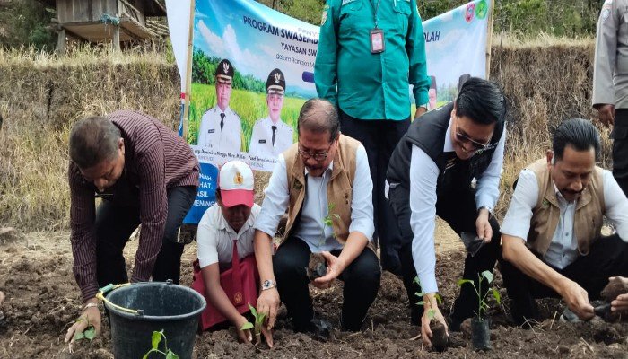 YSPN Dorong Swasembada Pangan Berbasis Sekolah di 3 Sekolah Detusoko Ende, Salurkan Benih Cabai hingga Padi