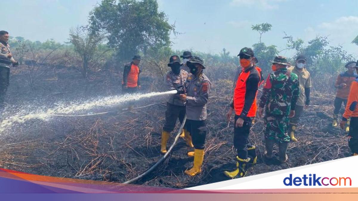 Pemkab Sarolangun Kelola Bantuan Rp 10 Miliar untuk Karhutla, Fokus ke BPBD, Damkar, dan Dinkes