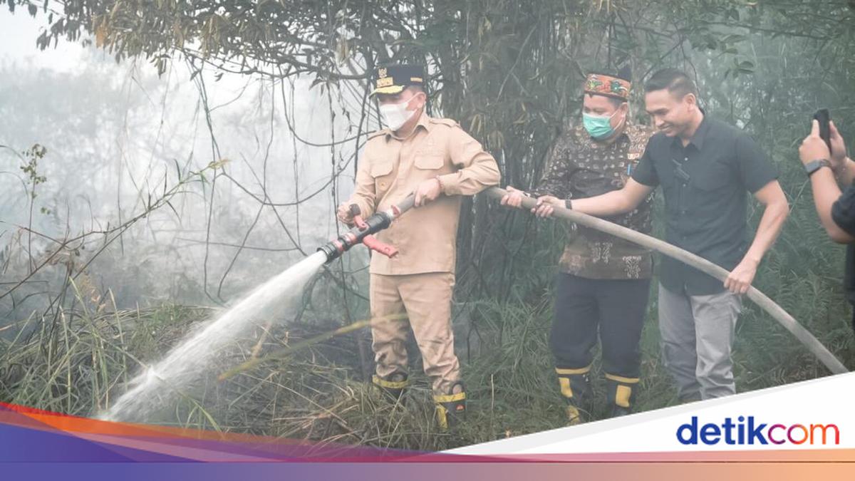 DPRD Kalteng Minta Pemprov Gerak Cepat Manfaatkan Rp 760 Miliar Anggaran Karhutla Pusat