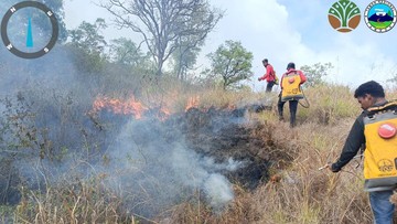 Taman Nasional Tambora Terbakar, 14 Ribu Hektare Savana Hangus