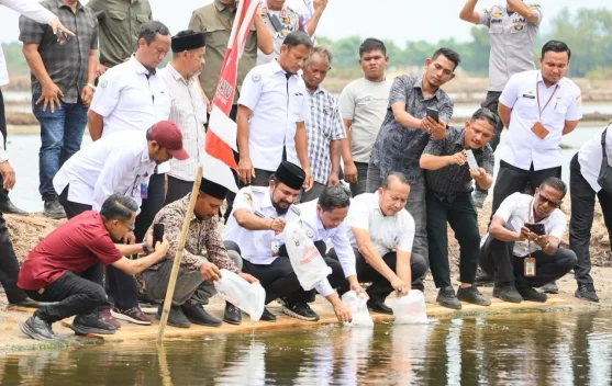 4,2 Juta Benur Vaname Disalurkan ke Lima Gampong di Aceh Timur, 120 Hektare Tambak Kembali Produktif