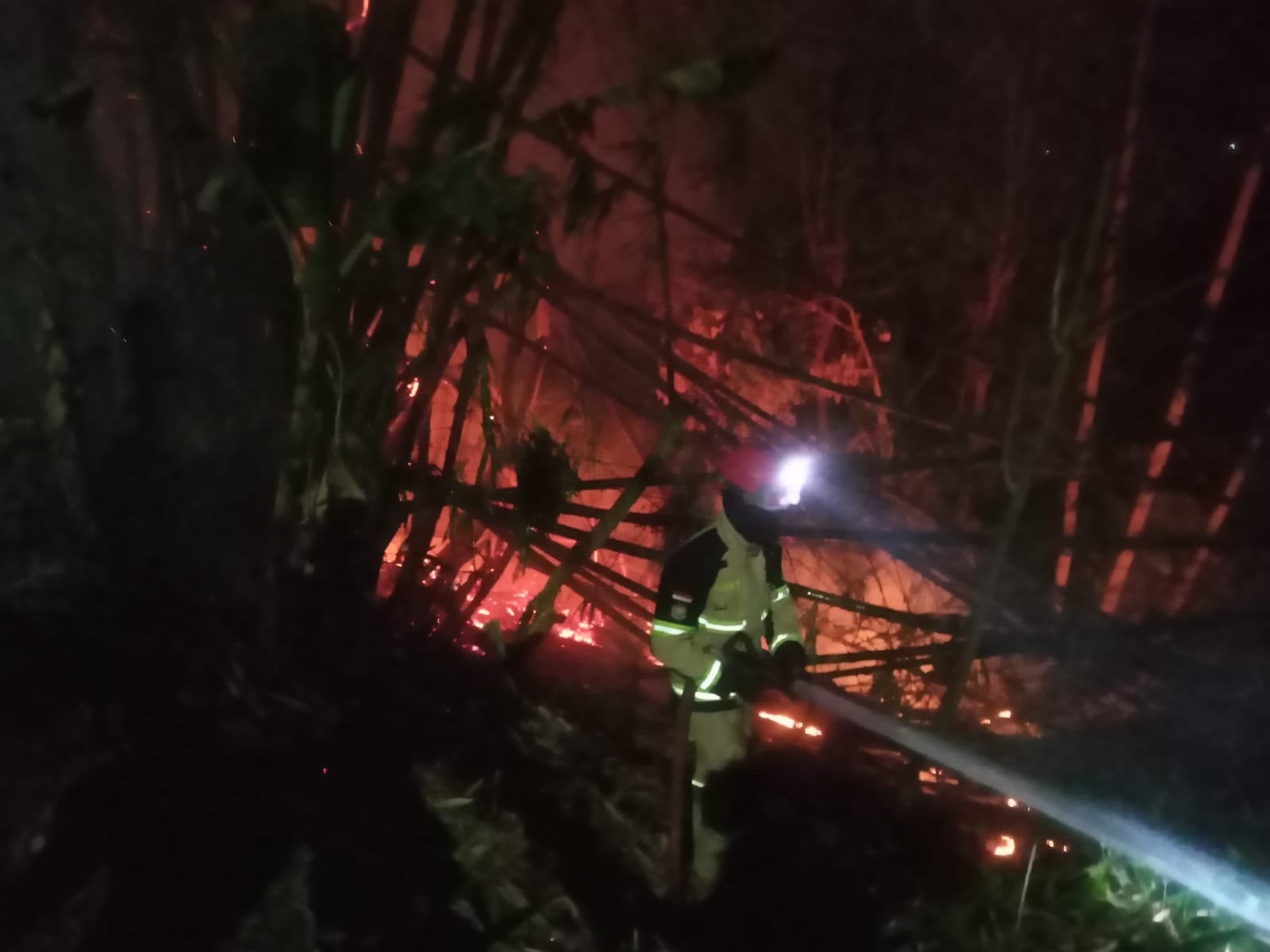 Kebun Bambu di Kertawirama Kuningan Terbakar Dini Hari, 7.000 Liter Air Dikerahkan Cegah Api Merembet ke Agen LPG