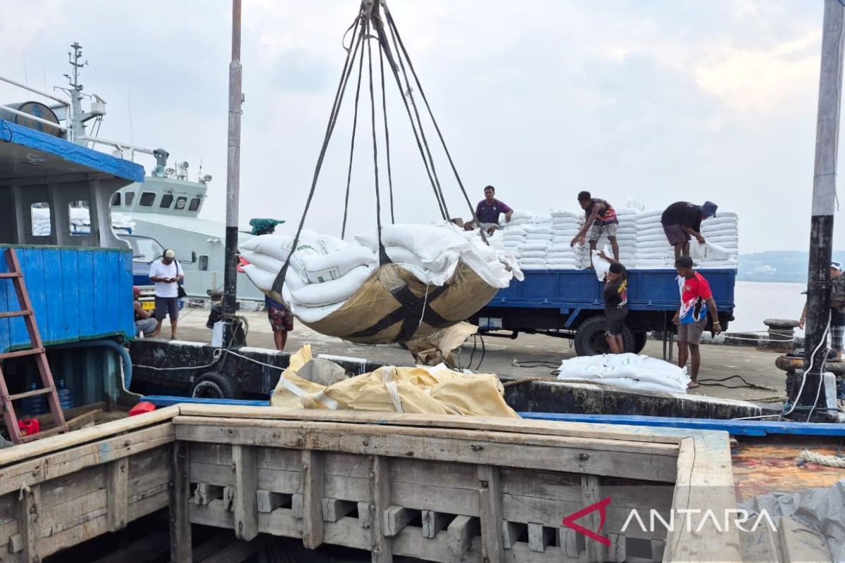 Bulog Serap 3,9 Juta Ton Beras, Capai 99 Persen Target Pemerintah