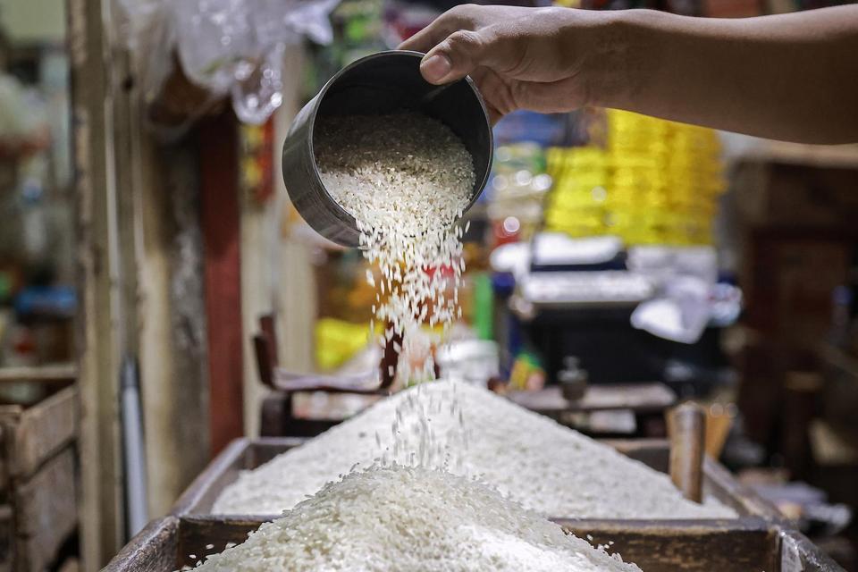 Stok Beras Bulog 4,6 Juta Ton, Mentan Janji Harga Turun Pekan Ini
