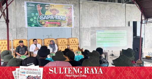 Bulog Sulteng Latih Puluhan Petani Kasimbar Soal Mutu Gabah di Desa Kasimbar Parigi Moutong