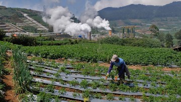 PLN Ditugaskan Kembangkan Panas Bumi Ungaran 55 MW