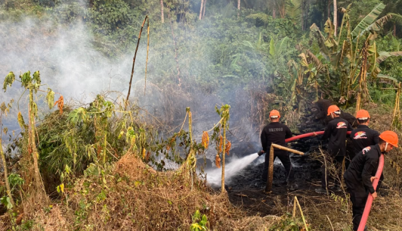 Kebakaran Lahan di Kupa-Kupa Tobelo Selatan Terkendali, Brimob Polda Malut dan Warga Bahu-Membahu Padamkan Api
