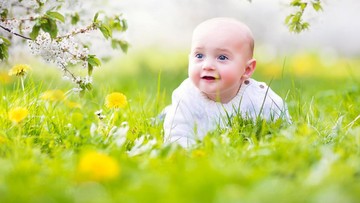 150 Nama Bayi Terinspirasi Bunga Dandelion dan Artinya untuk Laki-laki dan Perempuan