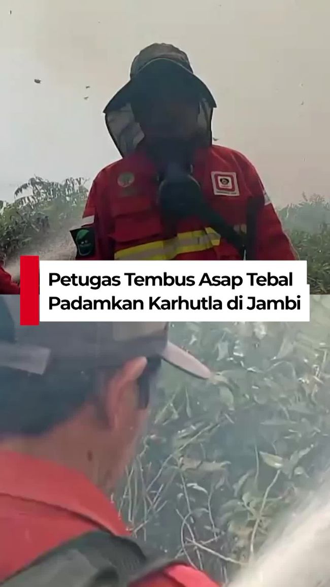 Petugas Tembus Asap Tebal Padamkan Karhutla di Tanjung Jabung Timur, Jarak Pandang Hanya 10 Meter
