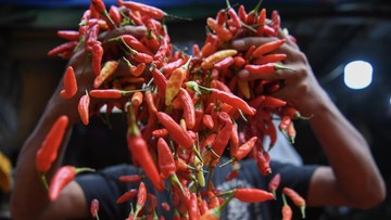 Pasokan Minim, Harga Cabai Rawit Merah Tembus Rp 116.600 per Kg