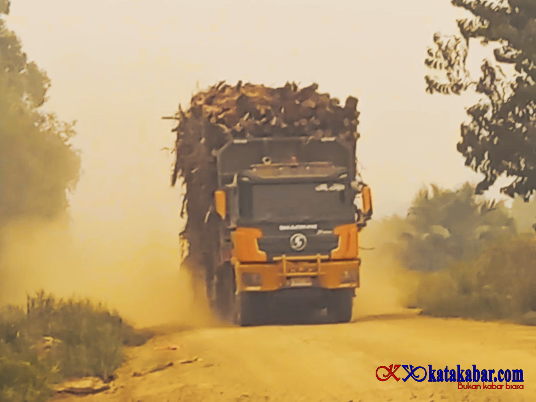 Empat Hari Menyusuri Tepian Jambi, Menakar Nasionalisme dari Hati Hutan yang Terbakar