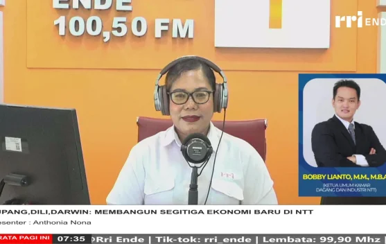 Kadin NTT Dorong Segitiga Ekonomi Kupang-Dili-Darwin, Bentuk Satgas Percepatan FTZ