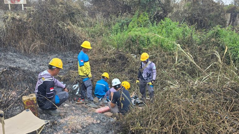 Kebakaran Lahan Tanjung Api-Api Palembang Rusak Kabel Tanah PLN, Petugas Bergerak Meski Bara Masih Menyala
