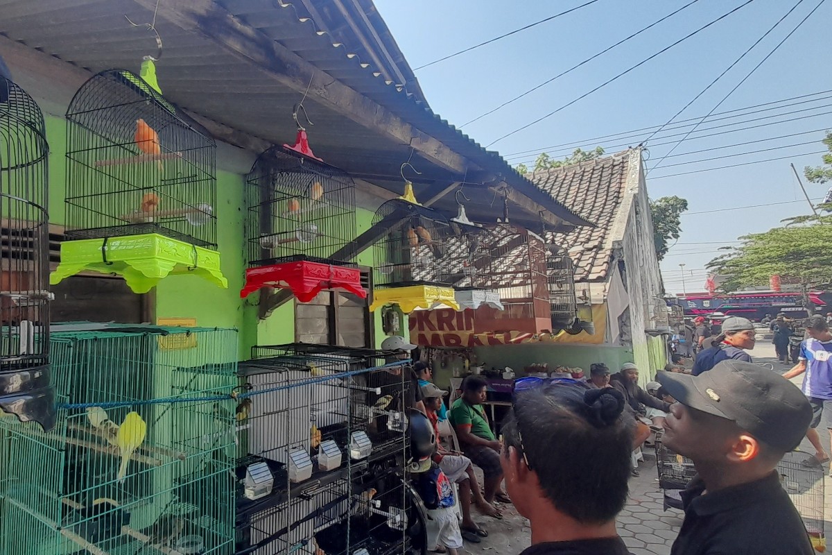 Pasar Burung Singosaren Bantul Tambah Pasaran Paing, Pedagang Merpati Kini Bisa Lapak Dua Kali Sepekan