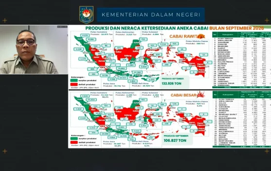 Produksi Cabai Rawit Nasional Capai 132.926 Ton, Sentra Siap Pasok Aceh dan Daerah Harga Naik
