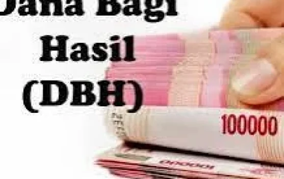Pemkab Kepulauan Sula Terima Rp 39,98 Miliar DBH dan DAU, BPKAD Sebut Baru Rp 900 Juta DBH Provinsi Cair