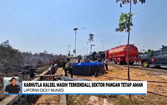 Karhutla Kalsel Terkendali, 197 Hektare Lahan Terbakar dan Sektor Pangan Dipastikan Aman