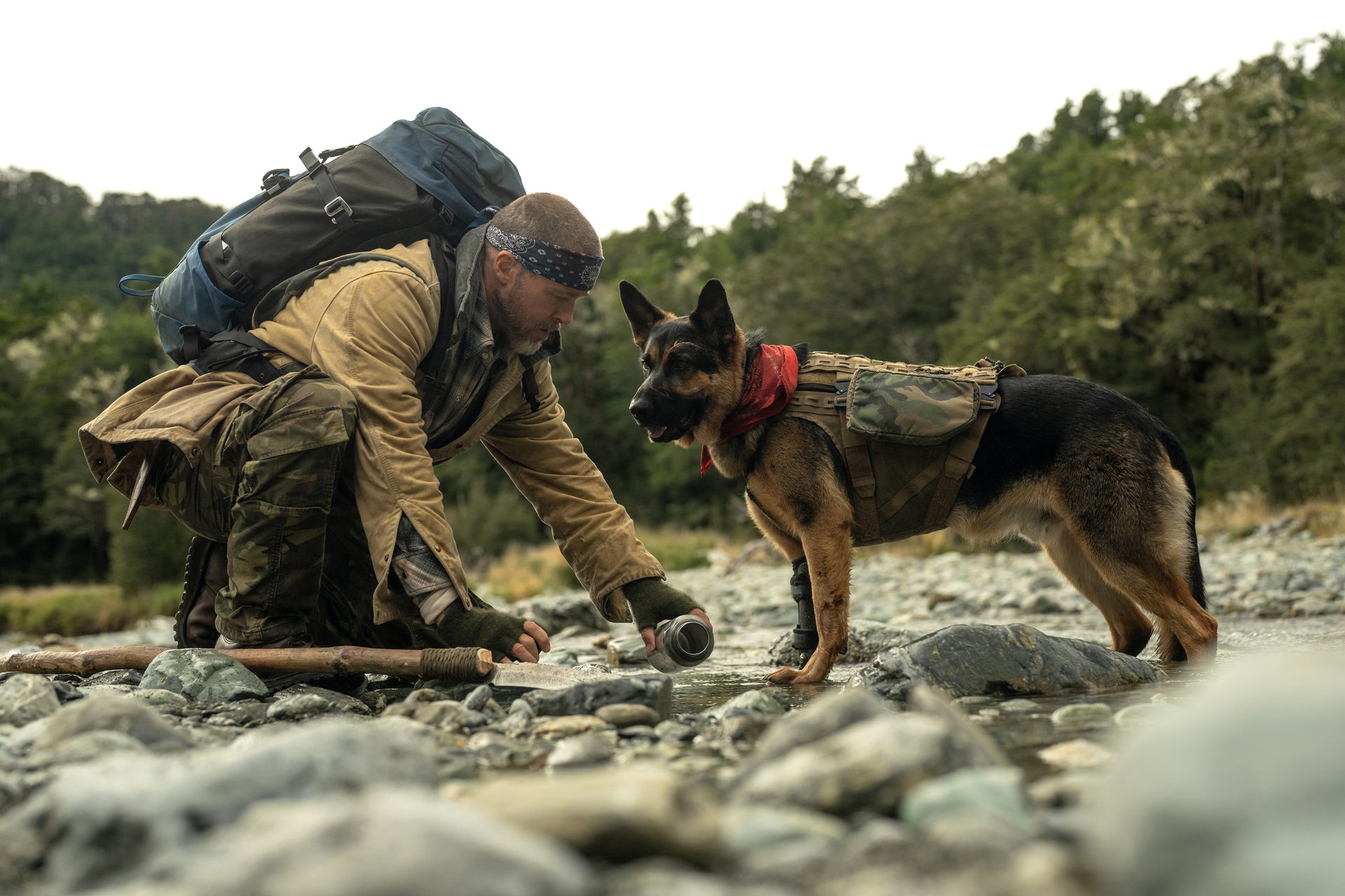 Brad Pitt Bertahan Hidup Bersama Anjing Tempur di Film Heart of the Beast