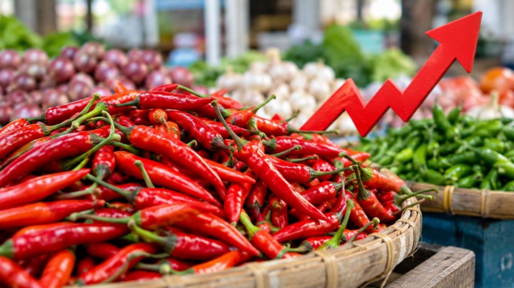 Harga Cabai di Merangin Melonjak, Pemkab Petakan Rantai Pasok demi Tekan Inflasi