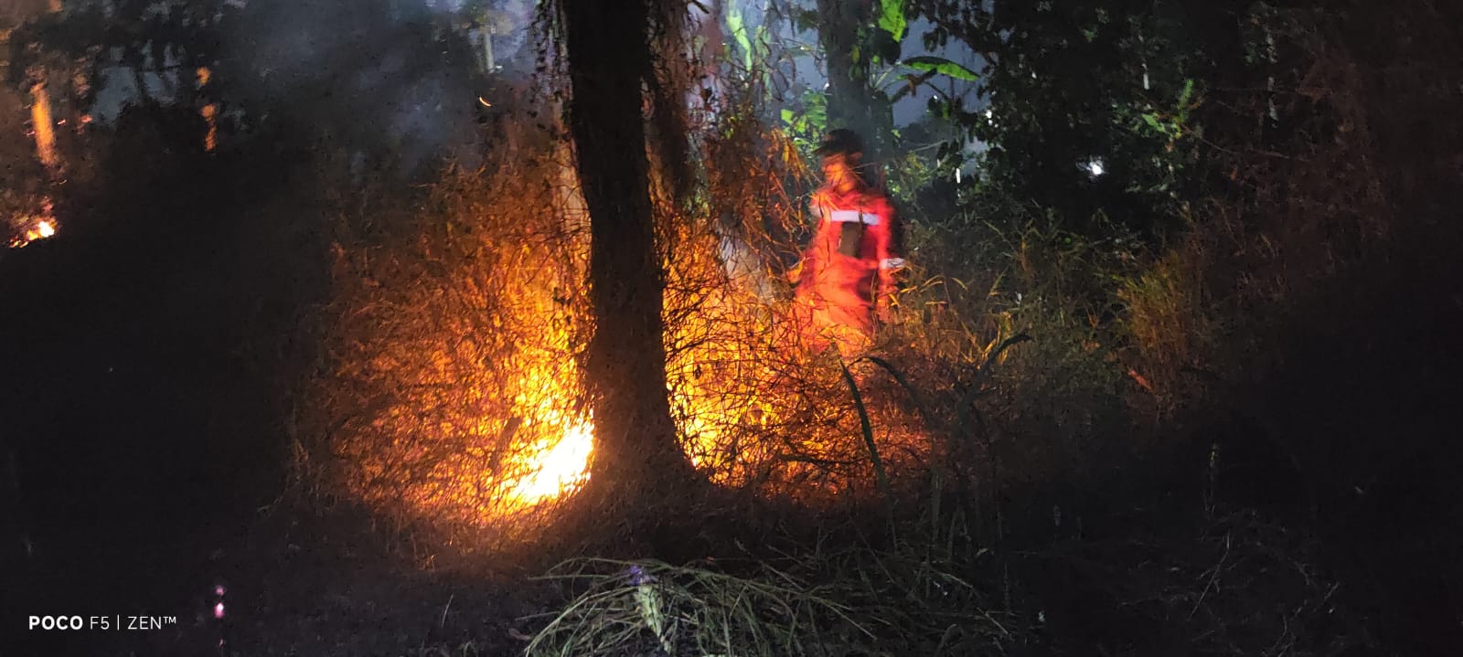 Dua Lahan di Balapulang Tegal Terbakar dalam Sehari, Api Nyaris Sambar Rumah Warga