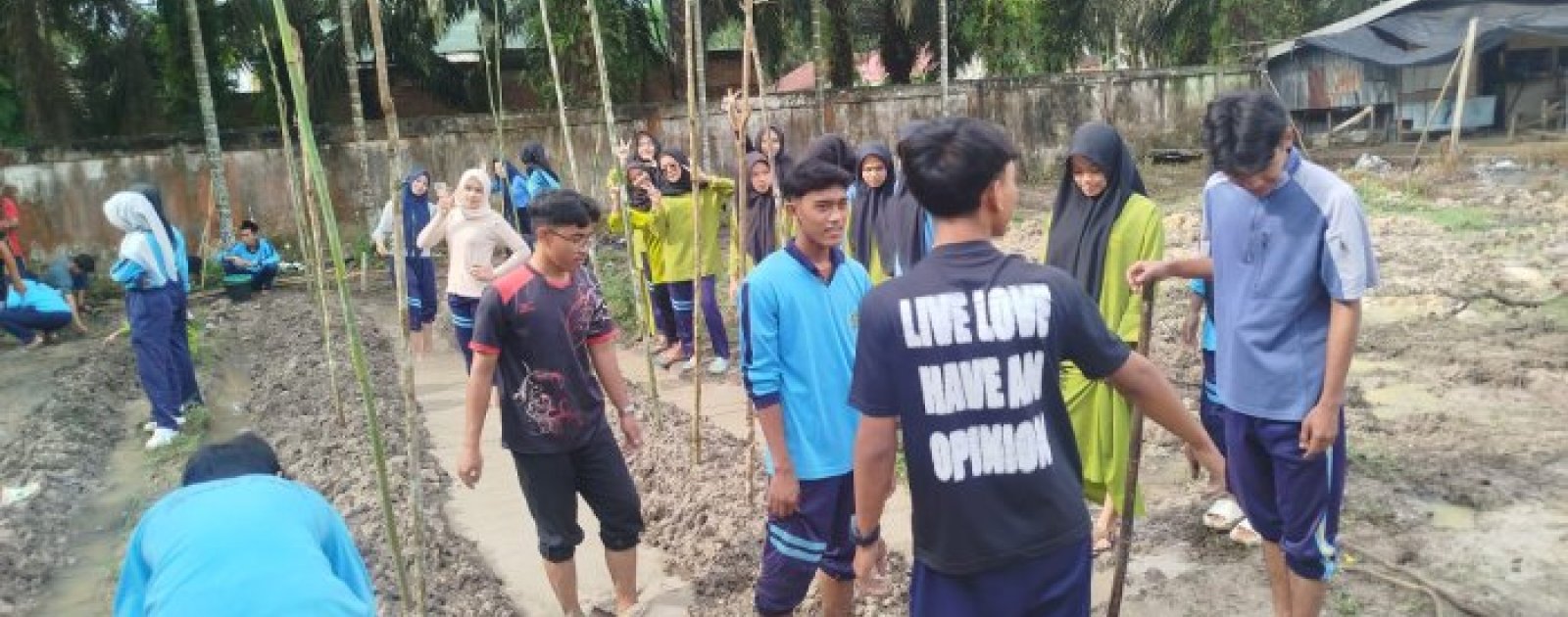 Siswa MAN 1 Muaro Jambi Tanam Terong hingga Kacang Panjang di Halaman Belakang Madrasah