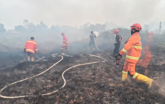 Kabut Asap Selimuti Balikpapan, BMKG Sebut Hotspot di Paser dan Kukar Jadi Indikasi Sumber