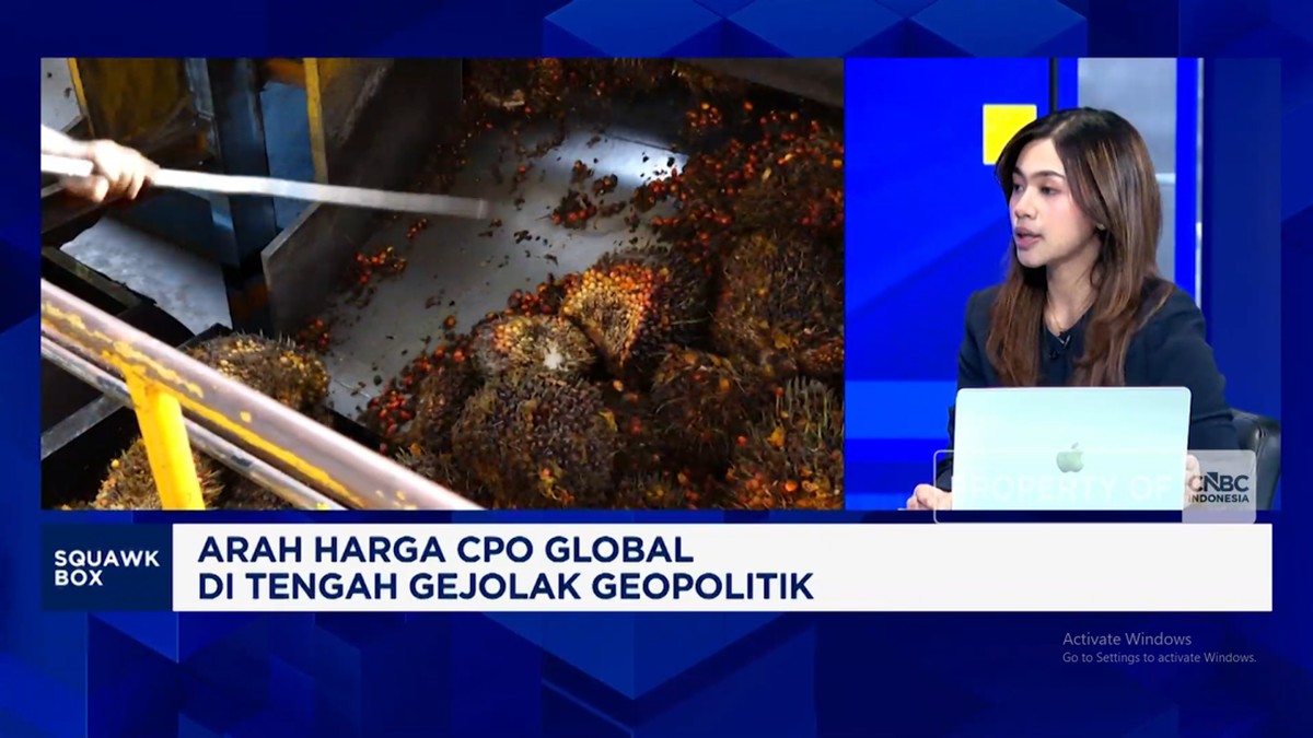El Nino Ancam Produksi CPO, Harga Minyak Sawit Diproyeksi Naik Sepanjang 2026