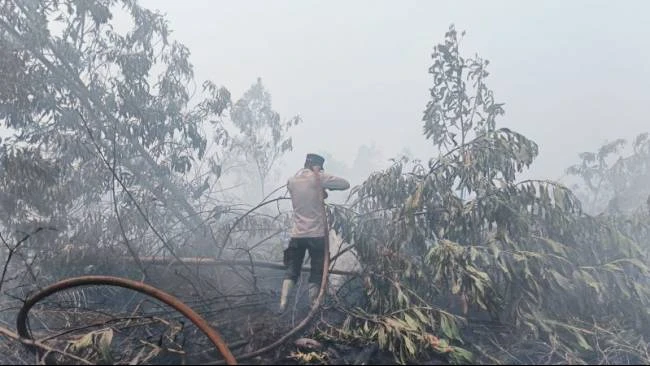 Satgas Udara Tak Bisa Padamkan Karhutla di Kalbar, Jarak Pandang di Bawah 1.000 Meter
