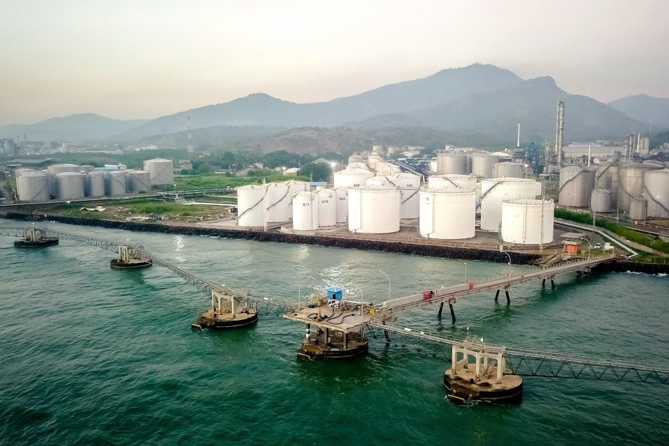 CDIA Bagikan Dividen Interim Rp 1,42 per Saham, Laba Semester I Anjlok 74,52%