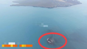 Erupsi Anak Krakatau Munculkan Daratan Baru Seluas 32,8 Hektare