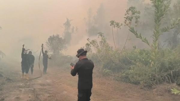BNPB Padamkan 1.002 Hektare Lahan Gambut Terbakar, Sisa 209,78 Hektare di 6 Provinsi Termasuk Jambi
