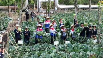 Panas Bumi Kamojang Pangkas Pengeringan Pupuk 14 Hari Jadi 12 Jam