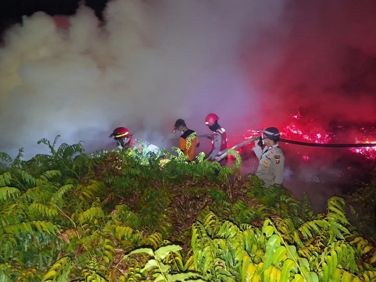 Karhutla Hanguskan 50 Hektare Lahan Gambut di Tol Balikpapan-Samarinda, Petugas Sempat Hentikan Pemadaman