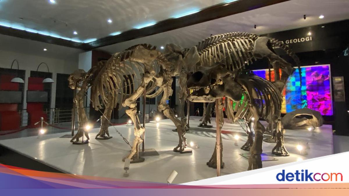 7 Museum di Bandung: Lokasi, Jam Buka, dan Harga Tiket Terbaru