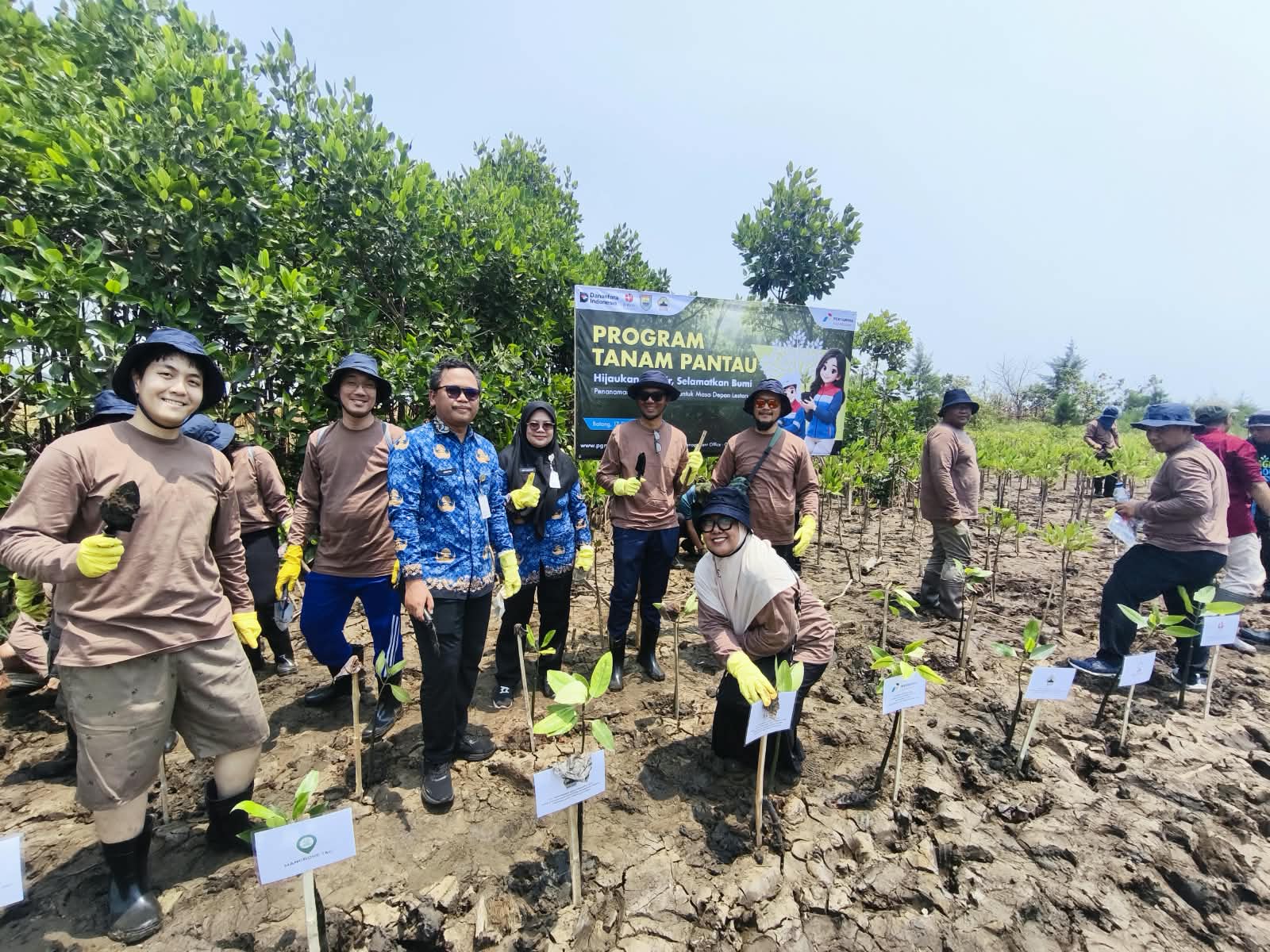 PGN Grup Tanam 269.000 Mangrove di Pesisir Utara Jawa Sejak 2024