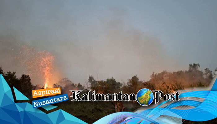 Pemerintah Pusat Siapkan Rp 100 Miliar untuk Karhutla Kalsel, Musim Hujan Diperkirakan Baru Turun November
