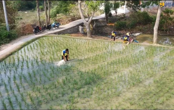 Kementerian PU Kerahkan 10 Pompa di Karawang, 300 Hektare Sawah Kutawaluya Mulai Terairi