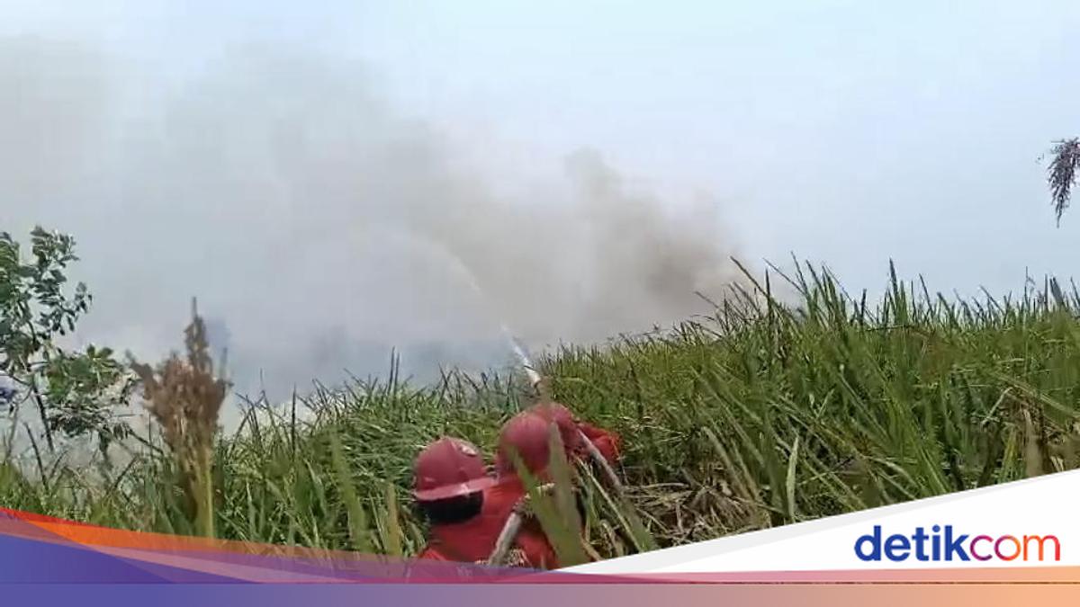 12.285 Personel Gabungan dan 14 Helikopter Water Bombing Dikerahkan Tangani Karhutla Sumatera Selatan