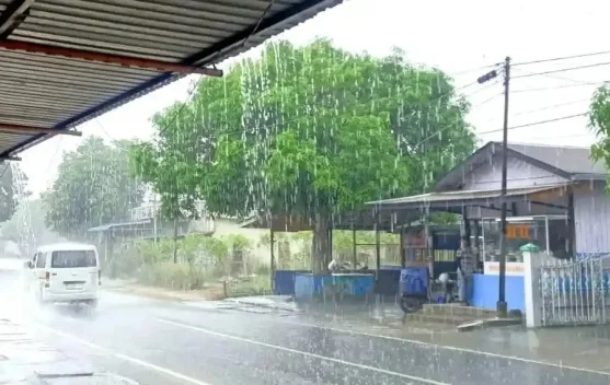 Hujan Ringan Diprediksi Guyur 5 Kecamatan di Kabupaten Bangka Siang Ini, Warga Bangka Selatan Berharap Hujan Segera Turun